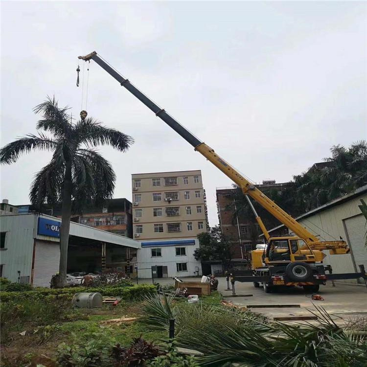 浏阳汽车吊出租多少钱？全面解析与市场行情